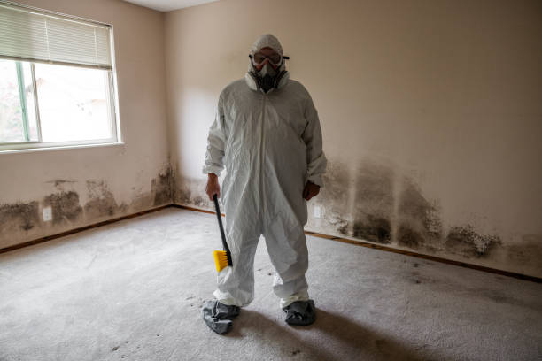 Best Mold Damage Repair  in Baiting Hollow, NY