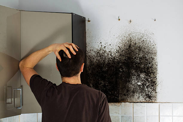 Best Residential Mold Removal  in Baiting Hollow, NY